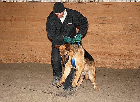 Training in Estonia 3/2007